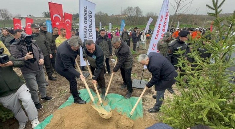 Bursa'da 80 hektarlık alan ağaçlandırıldı