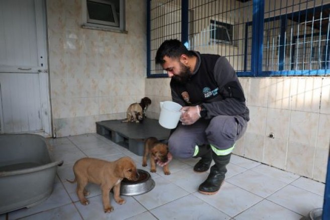 Bursa'da can dostlara yuva olmak ister misiniz?