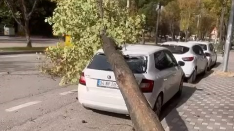 Bursa'da fırtına; Ağaçlar devrildi, çatılar uçtu...