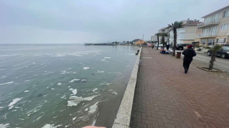 Bursa'da müsilaj tehlikesi: Denizi beyaz tabaka sardı