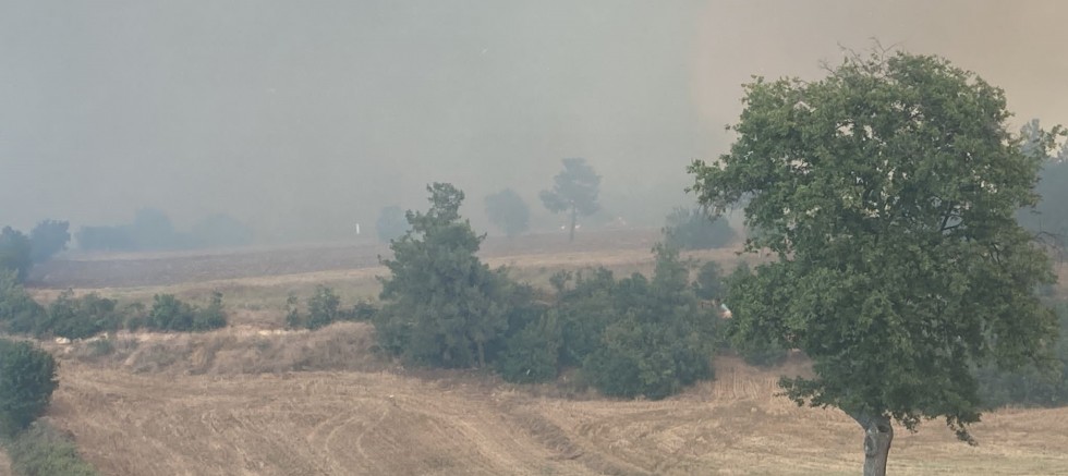 Bursa'da orman yangını