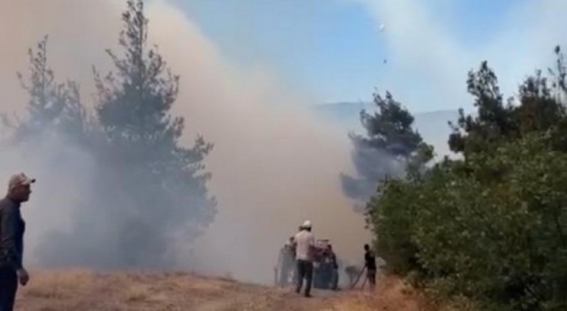 Bursa'da otluk alanda çıkan yangın ormana sıçradı