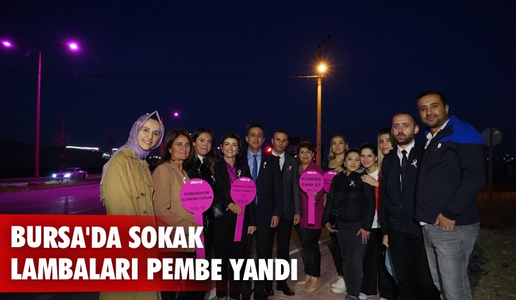 Bursa'da sokak lambaları pembe yandı