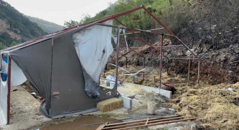 Bursa'daki orman yangınında 1 kişi gözaltına alındı
