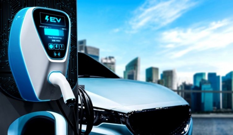 Bursa firmaları, Go Green Türkiye’de
