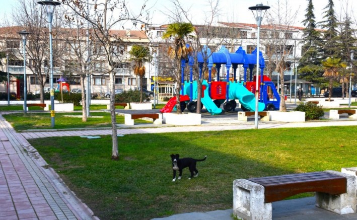 Bursa Gemlik çok değişti; Rengarenk, tertemiz...