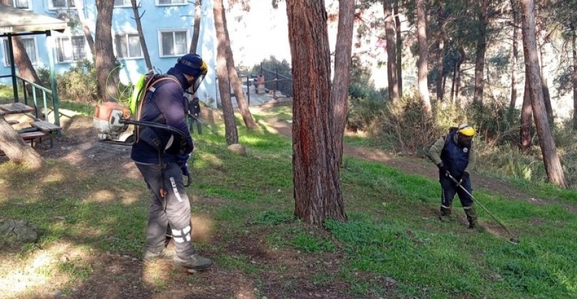 Bursa Gemlik'te çevre düzenleme ve yeşil alanlar bakıma alındı