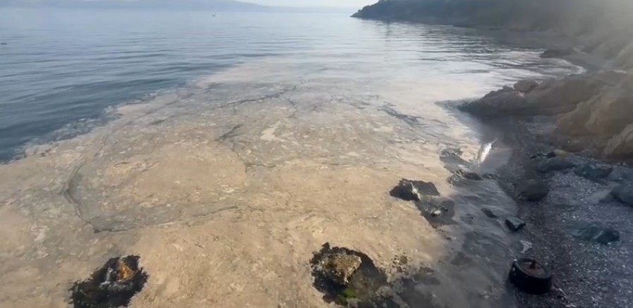 Bursa Gemlik'te müsilaj vatandaşları tedirgin etmeye devam ediyor