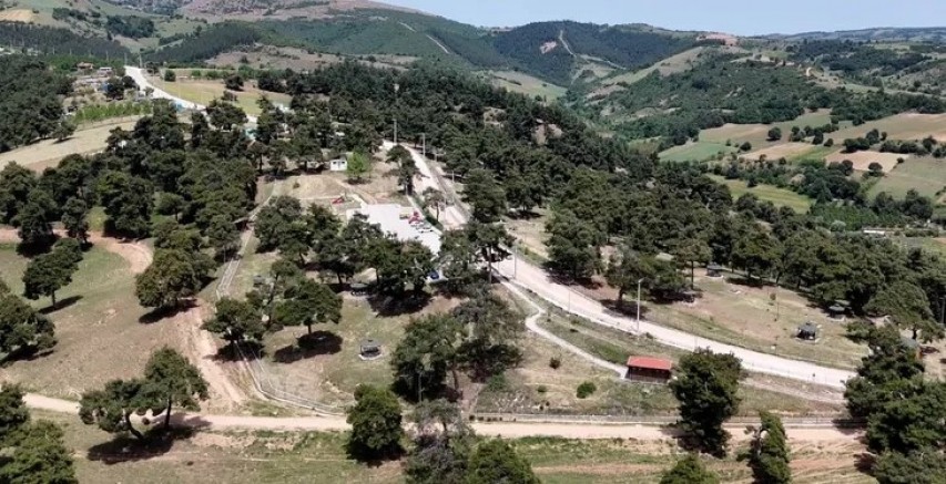 Bursa Kozdere Çamlığı misafirlerini bekliyor