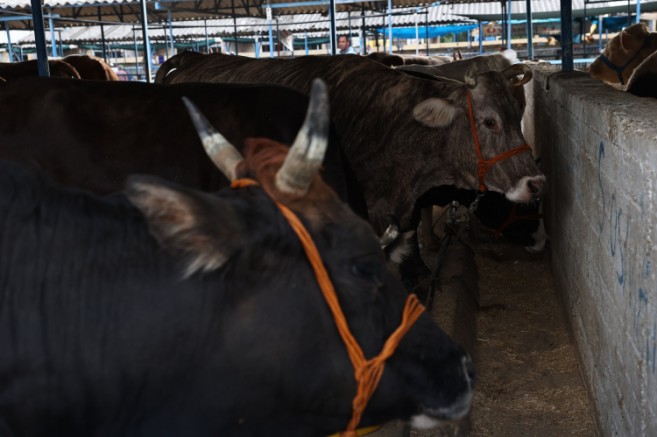 Bursa Nilüfer'de kurban kesim noktaları belirlendi