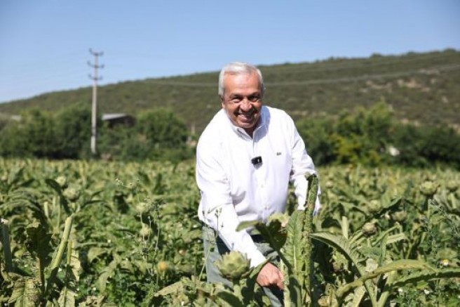 Bursa Nilüfer tarımda şaha kalkıyor