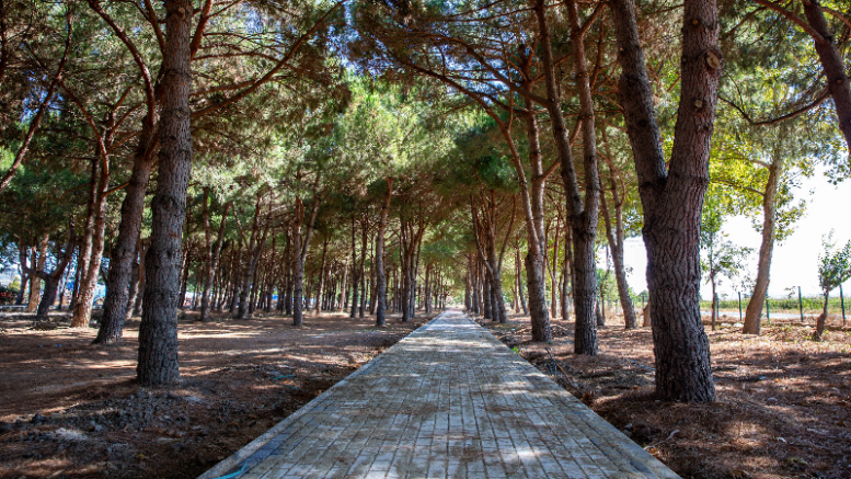 Bursa'nın o ilçesine devasa park