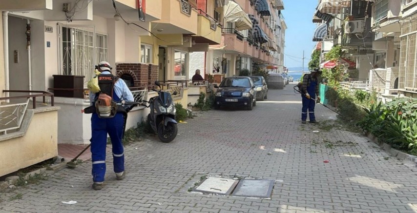 Bursa’nın tatil bölgesinde temizlik