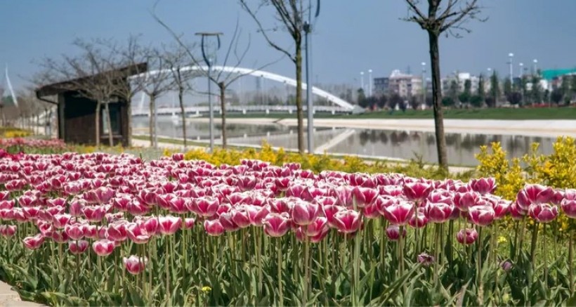 Bursa park ve bahçeleri harika görünüyor