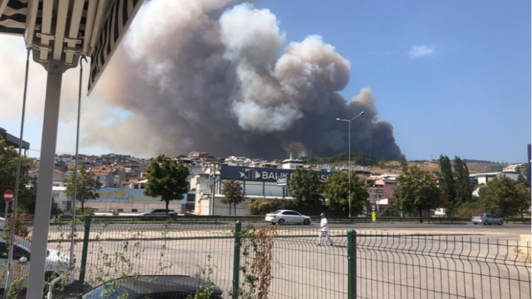 Bursa Valiliği’nden orman yangını açıklaması