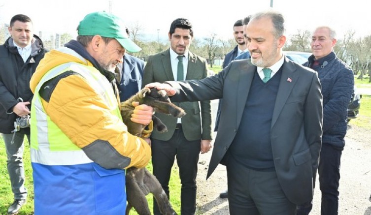 Büyükşehir’le çaresiz değilsiniz