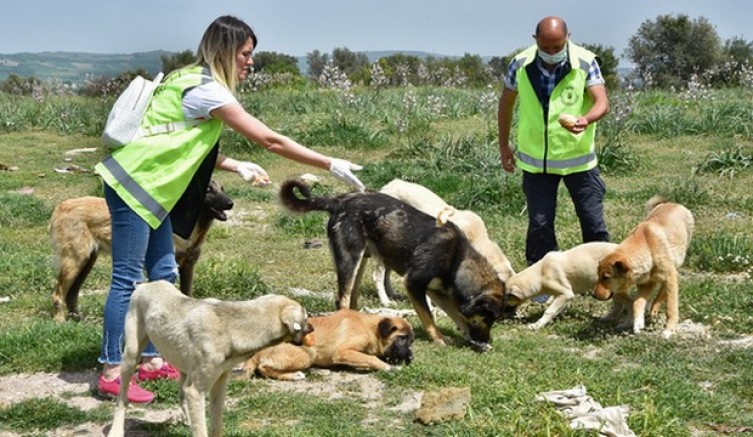 Can dostlara Büyükşehir şefkati