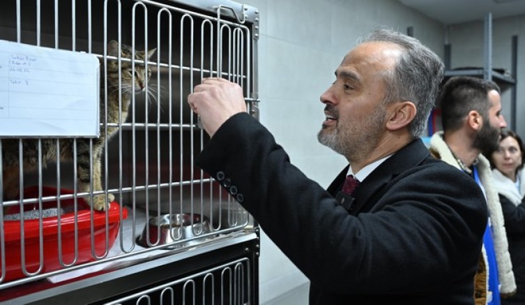 Can dostlara modern yeni yuva