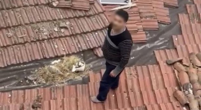 Çatıda polisi izlerken yakalandı