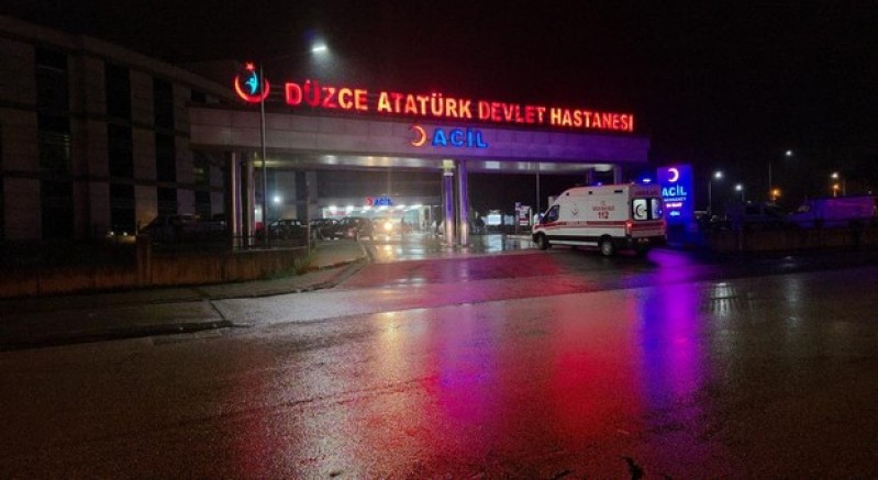 Cengiz Efe hayata döndürüldü