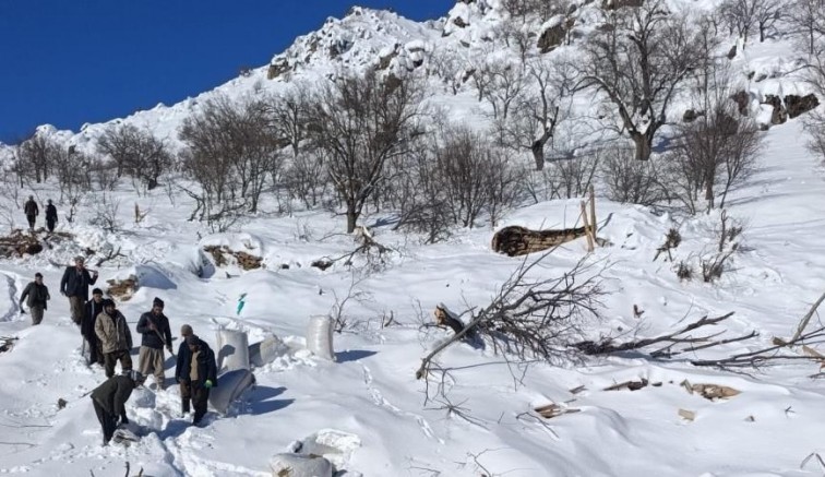 Çığ düştü, hayvanlar telef oldu