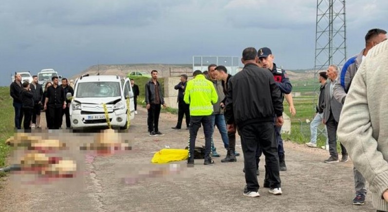 Çoban öldü, 9 koyun telef oldu