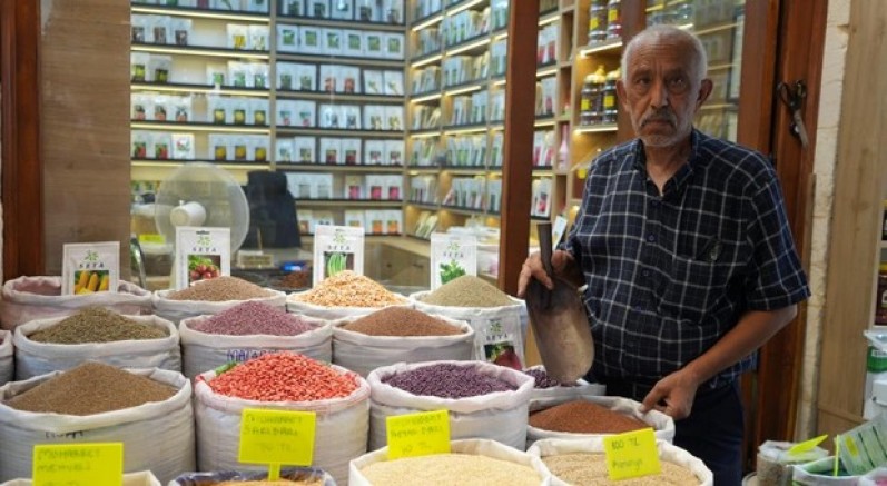 Dede mesleğini 3 bin dönüm arazide yaşatıyor