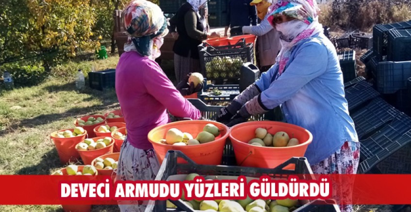 Deveci armudu yüzleri güldürdü