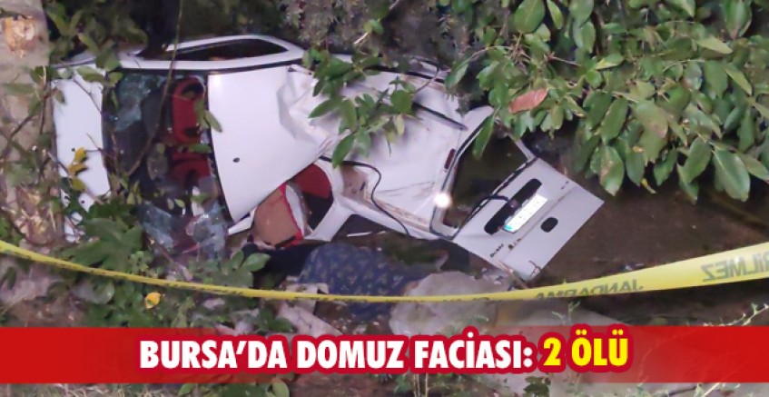 Domuz faciası: 2 ölü