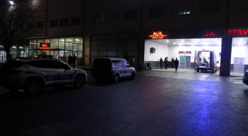 "Dut ağacı" kavgası: 1'i çocuk 3 yaralı