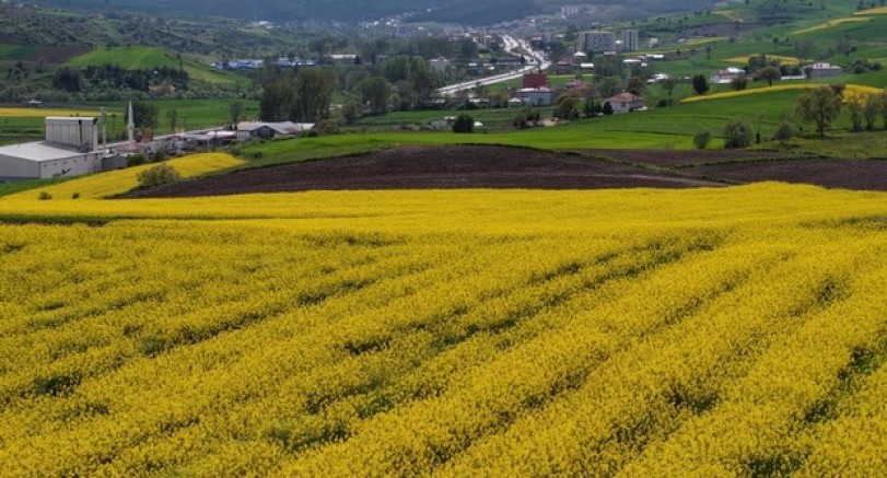 Ekonomiye 350 milyon TL katkı