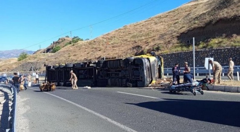 Elazığ'da hayvan yüklü tır devrildi: 2 yaralı