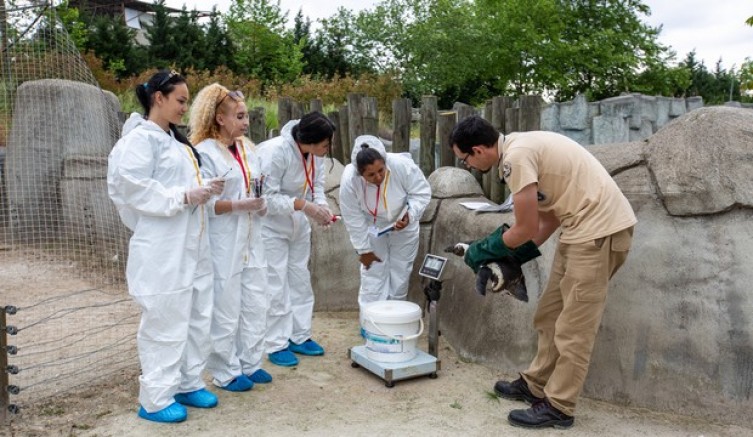 Erasmuslu öğrenciler Hayvanat Bahçesi’nde