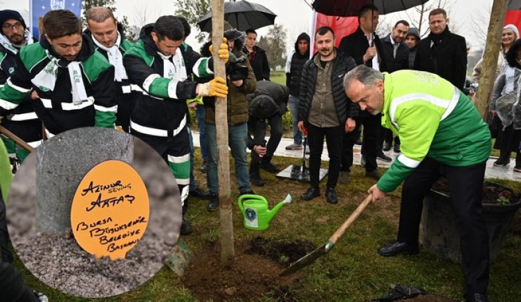 Erguvan Fidanları Toprakla Buluştu