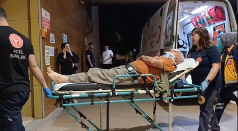 Erik toplamak için çıktığı ağaçtan düşerek yaralandı