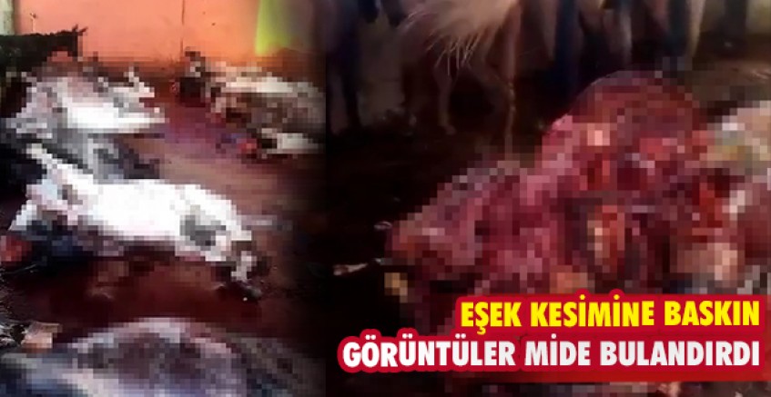 Eşek kesimine baskın!