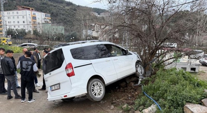 Freni boşalan hafif ticari araç ağaca çarptı: 1 yaralı
