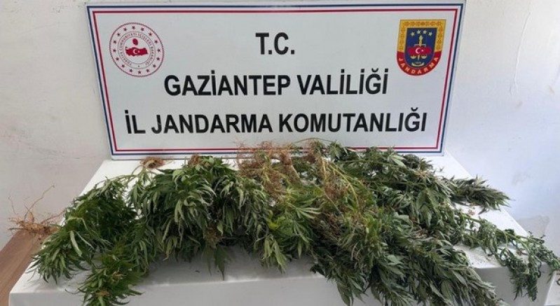 Gaziantep jandarmadan uyuşturucu operasyonu