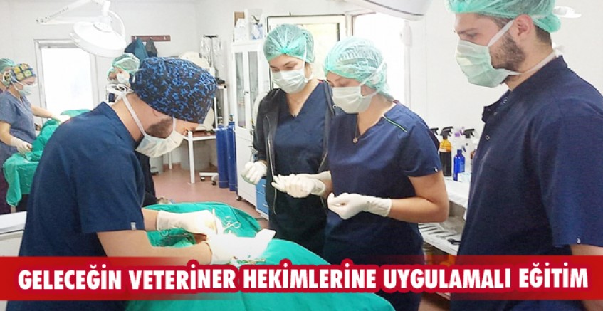 Geleceğin veteriner hekimlerine uygulamalı eğitim