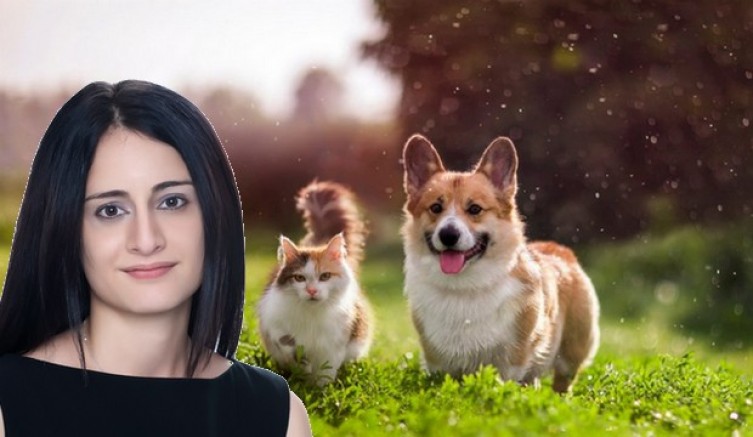 Gelin, Bu Tarihi Hatadan Dönelim