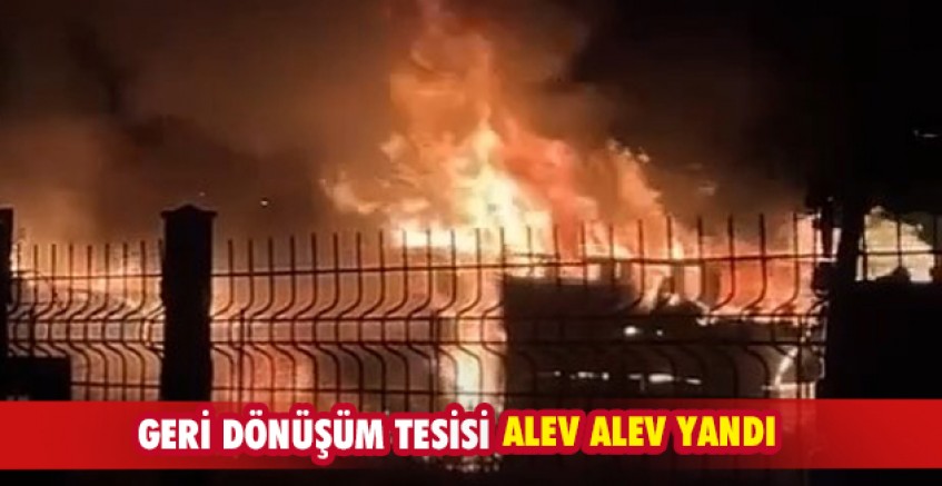 Geri dönüşüm tesisi alev alev yandı
