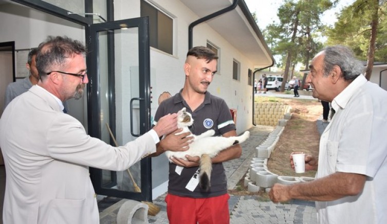 Gündem, ‘Sokak Hayvanları’
