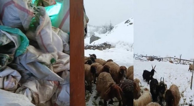 Hakkari'de çiftçiler çaresiz