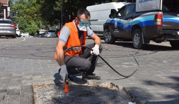 Haşerelerle savaş sürüyor