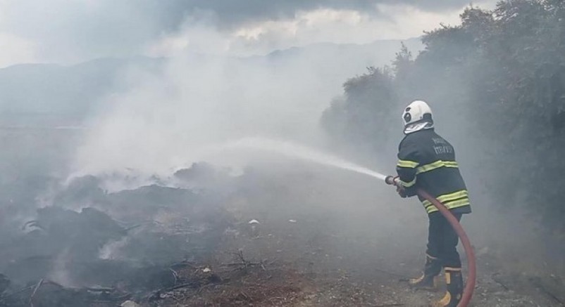 Hassa'da zeytinlik yangını