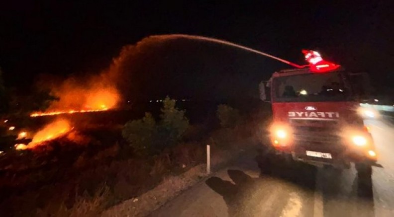 Hatay'da anız yangını zeytinliğe sıçradı