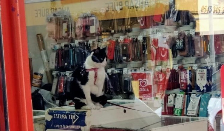 Hayatından endişe edildi, cezaevinde olduğu ortaya çıktı