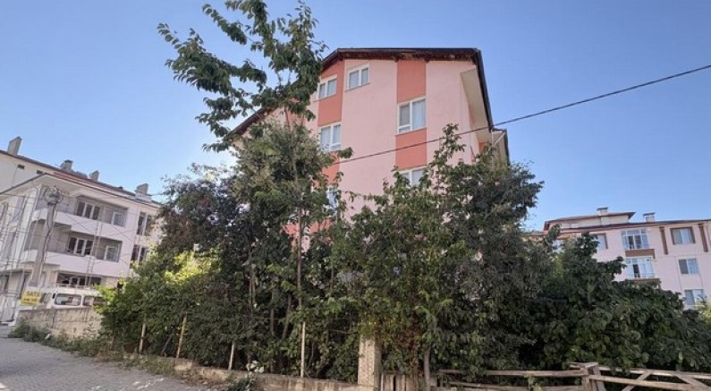 Ihlamur ağacından düşen emekli öğretmen yaralandı