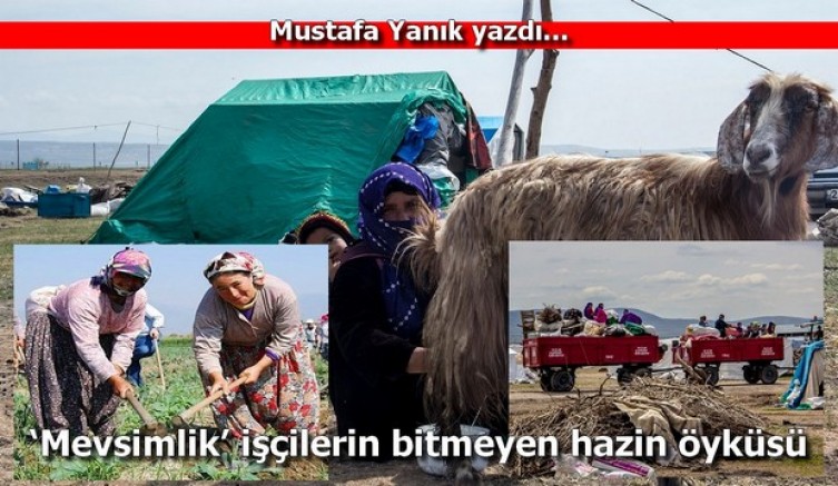 İnsan onuru her şeyin üstündedir