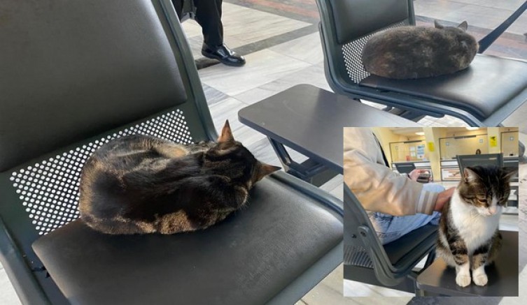 İyi ki tren garı var